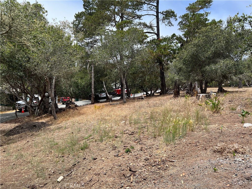 0 Langton, Cambria, CA 93428