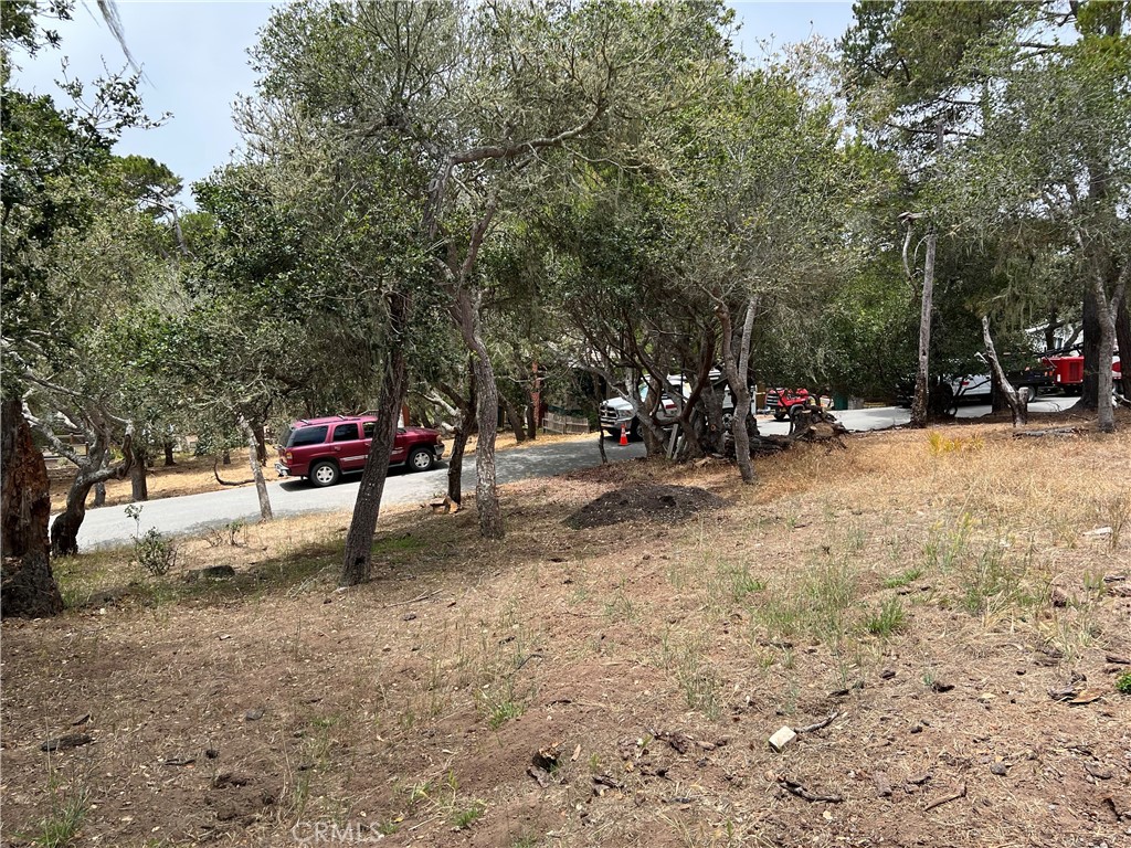 0 Langton, Cambria, CA 93428