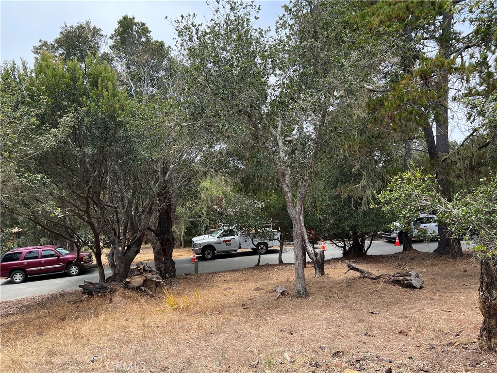 0 Langton, Cambria, CA 93428