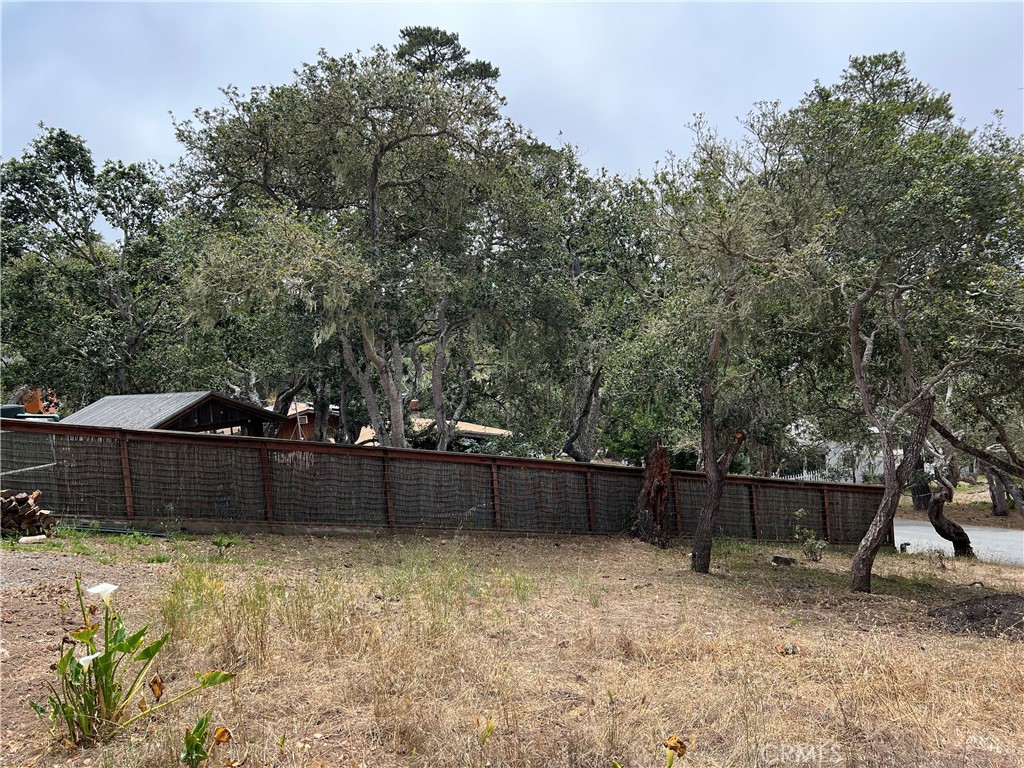 0 Langton, Cambria, CA 93428