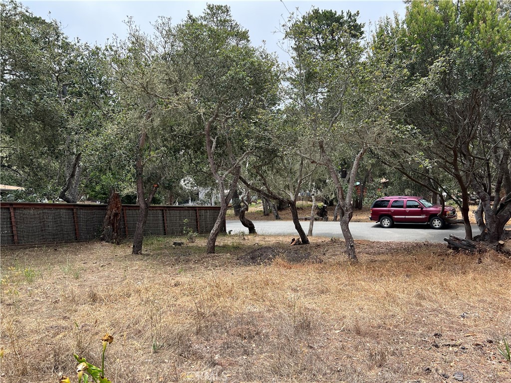 0 Langton, Cambria, CA 93428