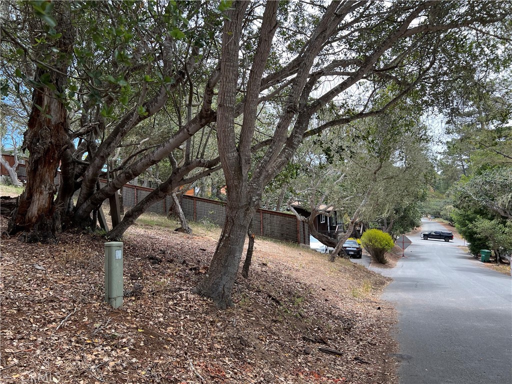 0 Langton, Cambria, CA 93428