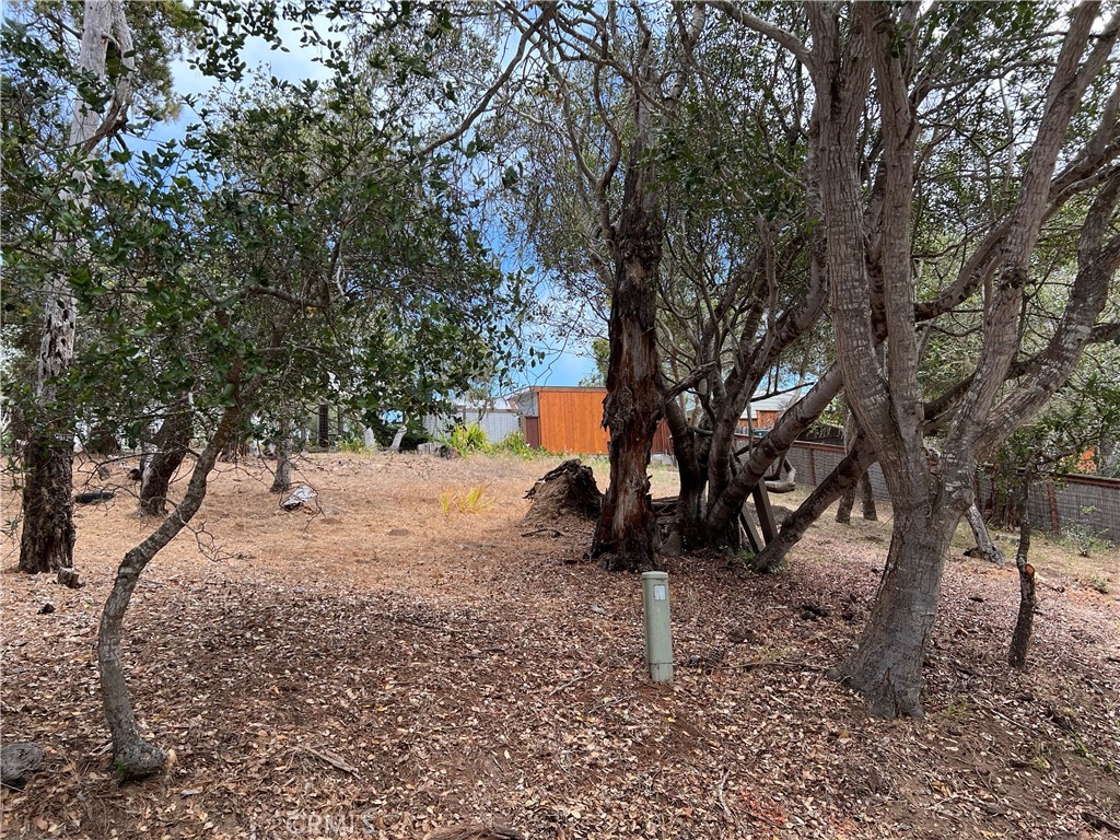 0 Langton, Cambria, CA 93428