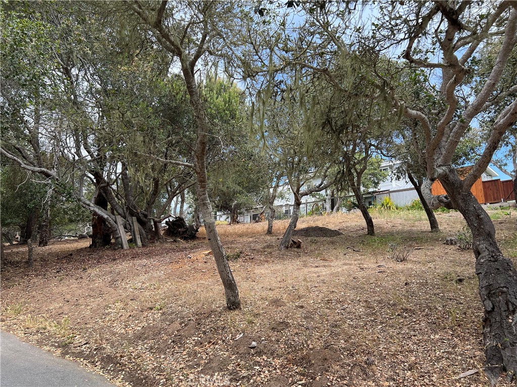 0 Langton, Cambria, CA 93428
