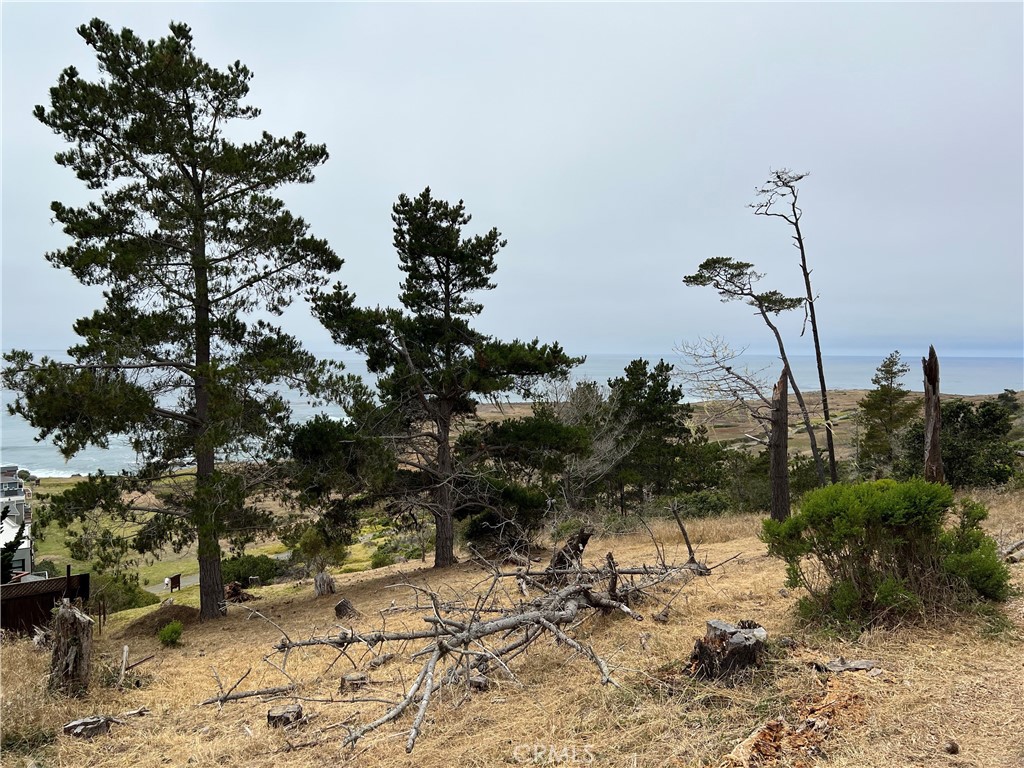0 Victoria Way, Cambria, CA 93428