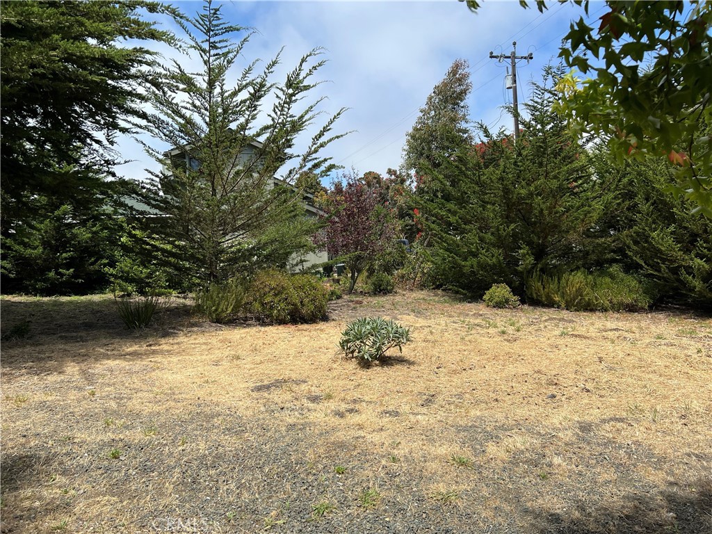 0 Burton Dr, Cambria, CA 93428