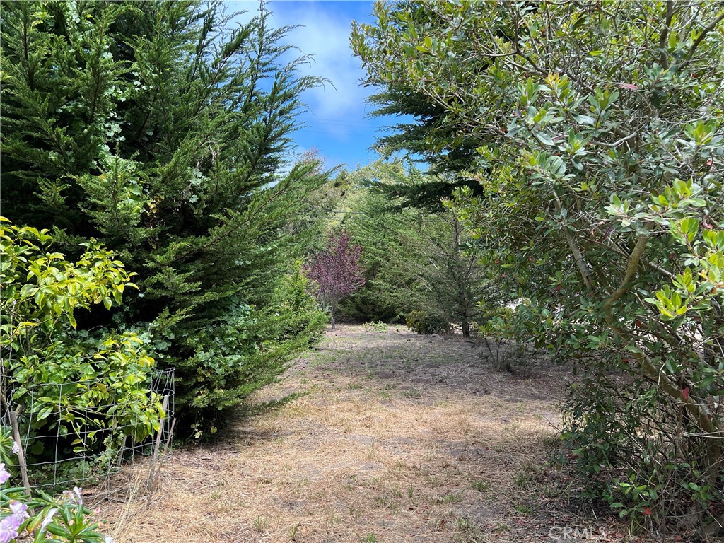 0 Burton Dr, Cambria, CA 93428