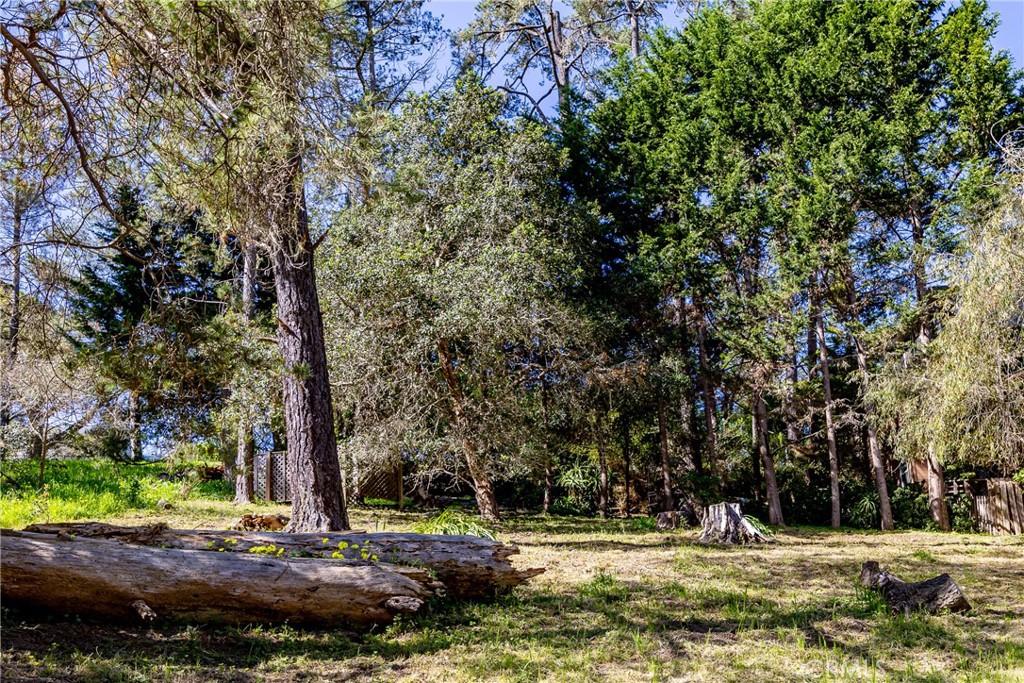 0 Spencer St, Cambria, CA 93428