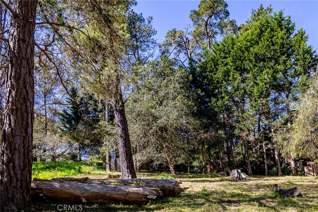0 Spencer St, Cambria, CA 93428