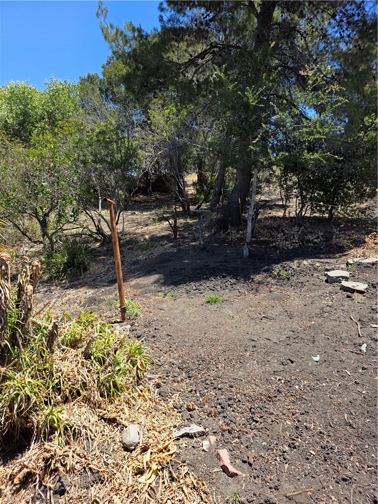 1411 1415 San Luis Drive, San Luis Obispo, CA 93401
