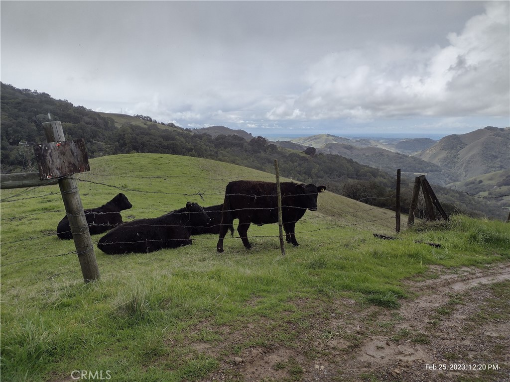 9500 Santa Rosa Creek Rd, Templeton, CA 93465