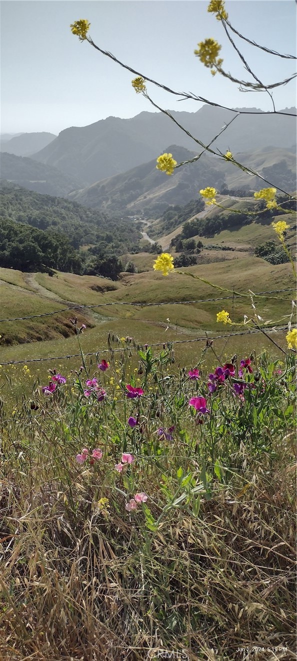 9500 Santa Rosa Creek Rd, Templeton, CA 93465