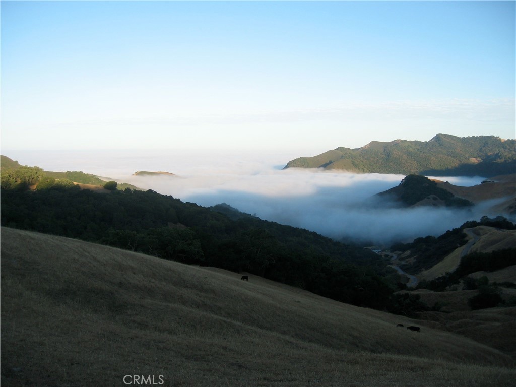 9500 Santa Rosa Creek Rd, Templeton, CA 93465