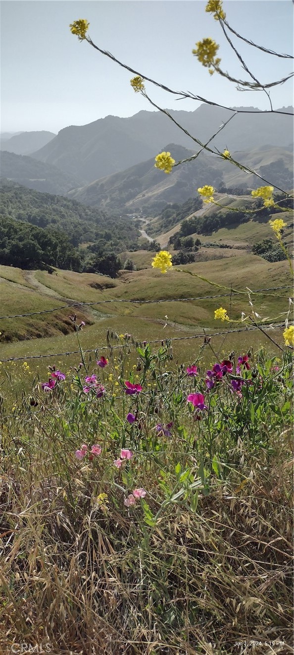 9500 Santa Rosa Creek Rd, Templeton, CA 93465