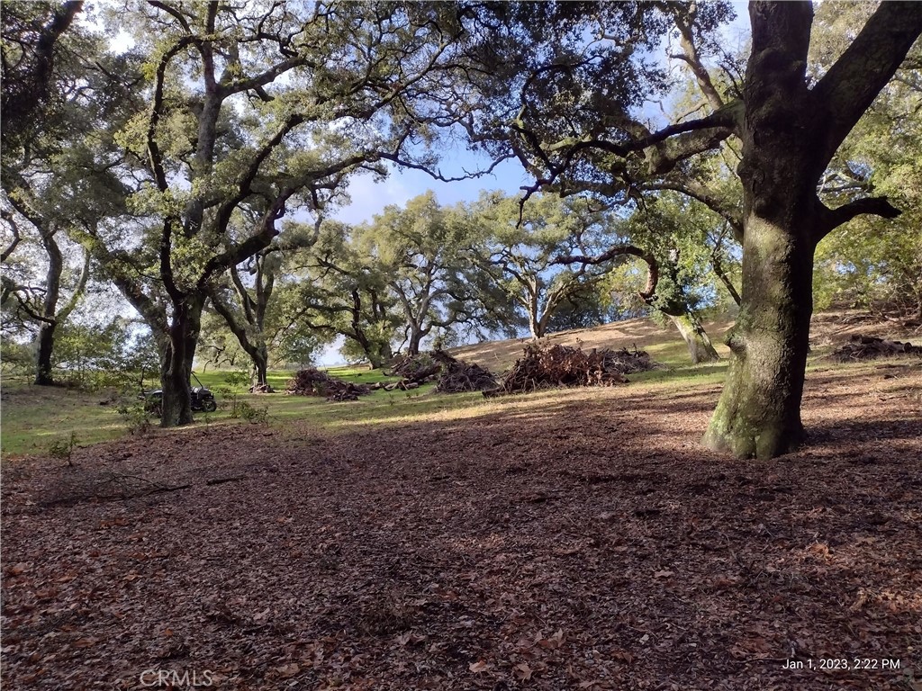 9500 Santa Rosa Creek Rd, Templeton, CA 93465