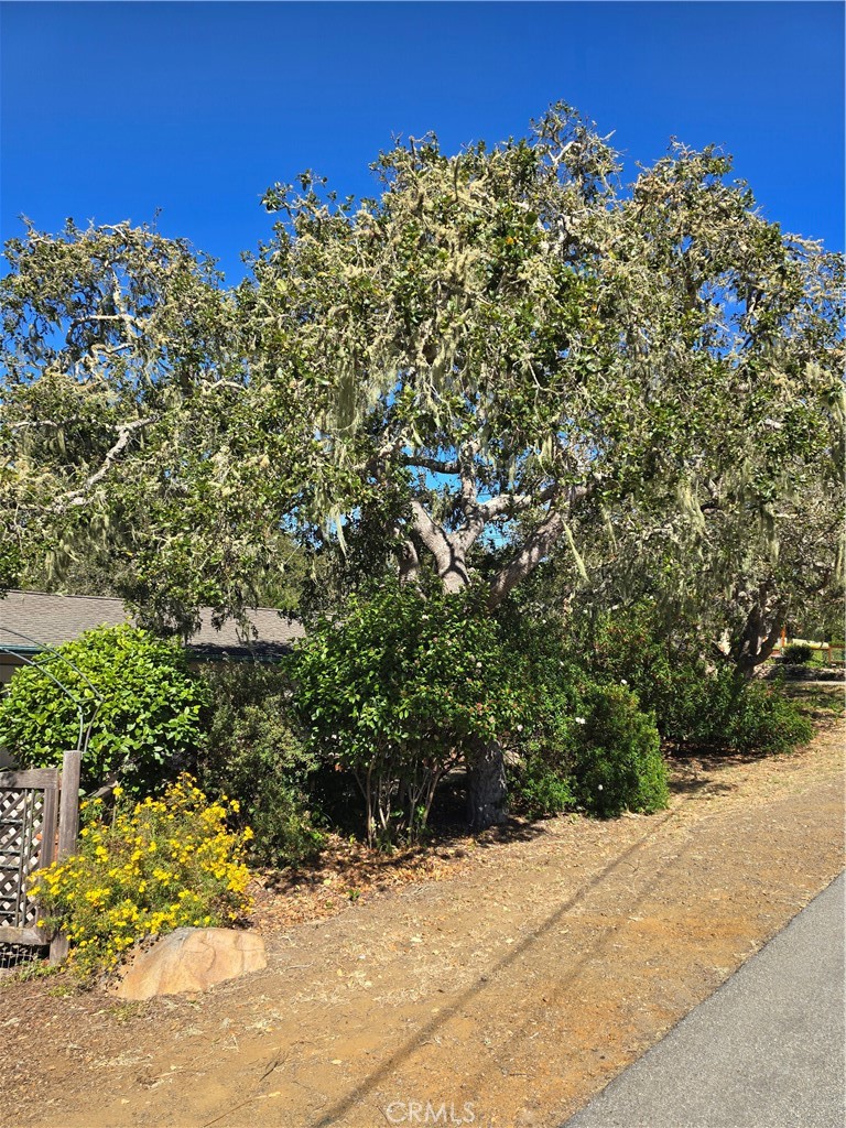2300 Pineridge Dr, Cambria, CA 93428