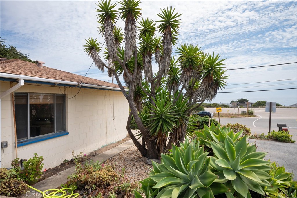 110 Chaney, Cayucos, CA 93430
