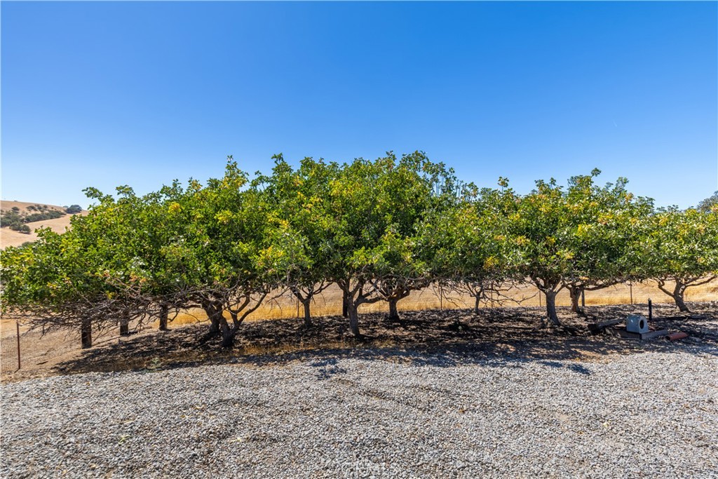 5750 Ground Squirrel Hollow, Paso Robles, CA 93446