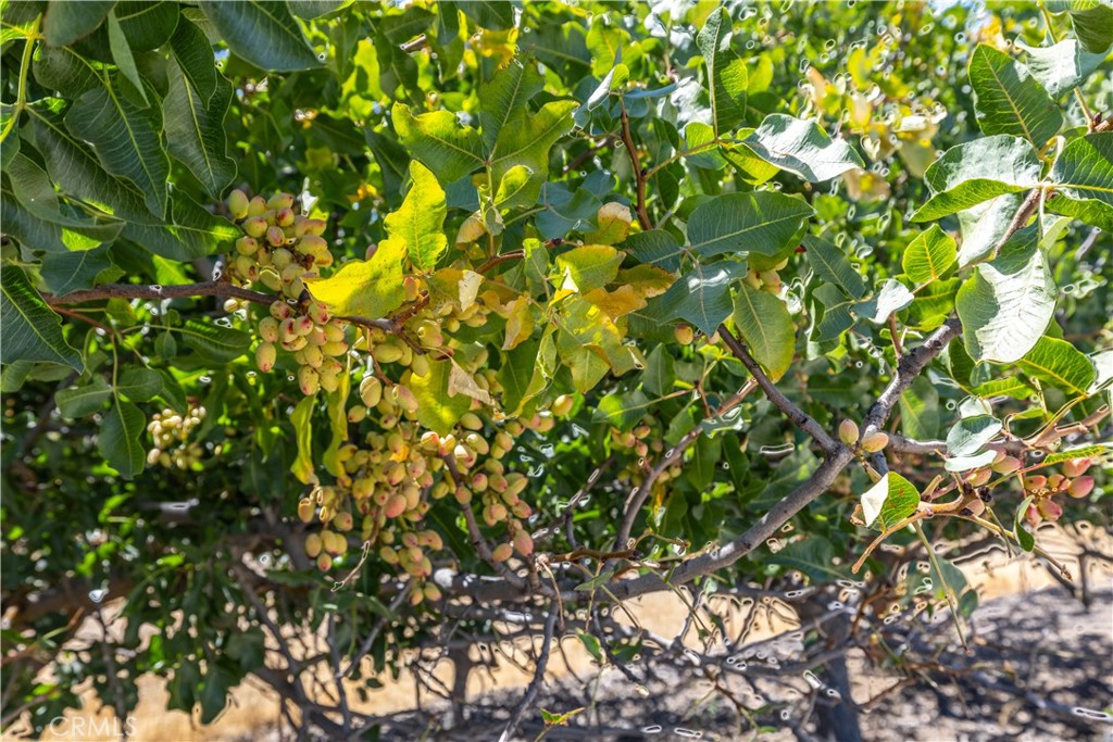 5750 Ground Squirrel Hollow, Paso Robles, CA 93446