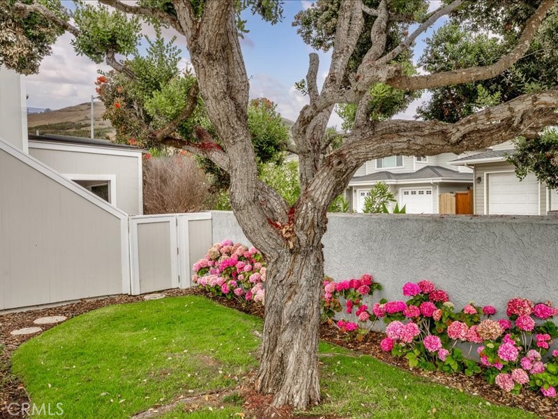 3080 Studio, Cayucos, CA 93430