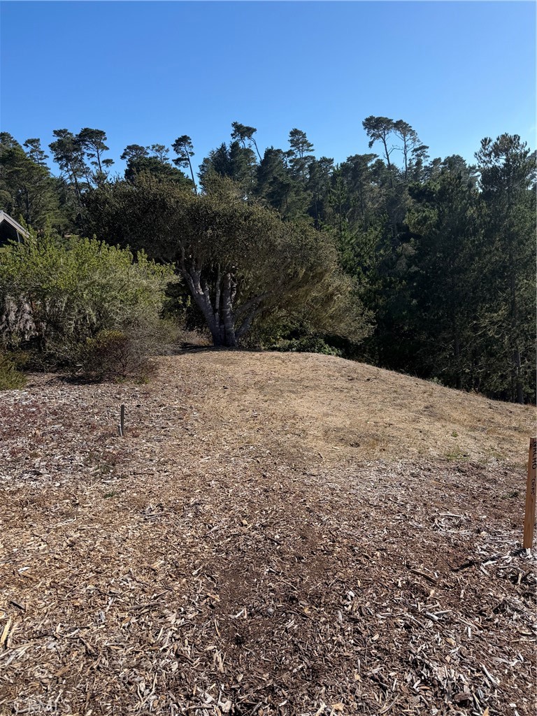 3123 Rogers, Cambria, CA 93428