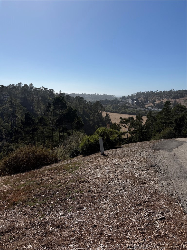 3123 Rogers, Cambria, CA 93428