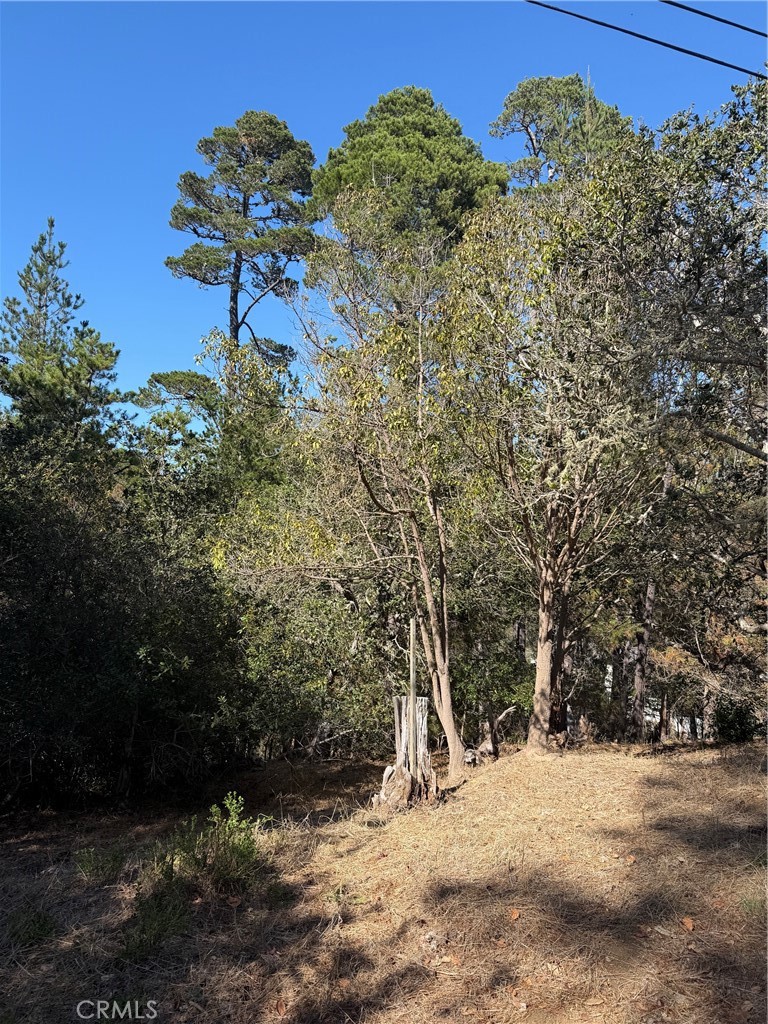 0 Melrose, Cambria, CA 93428