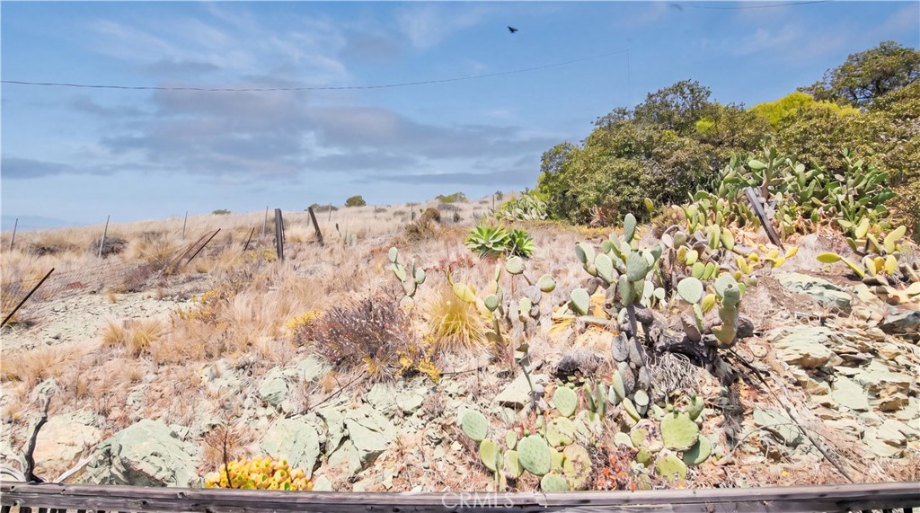 597 Park, Cayucos, CA 93430