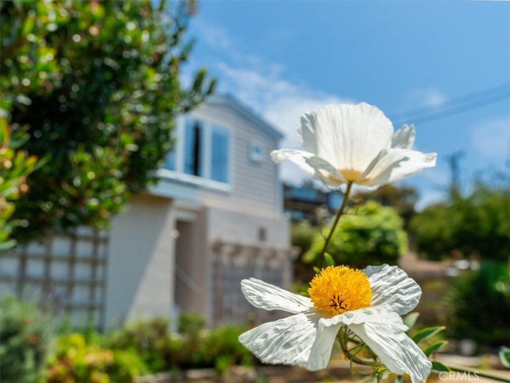 399 Wedgewood, Cambria, CA 93428