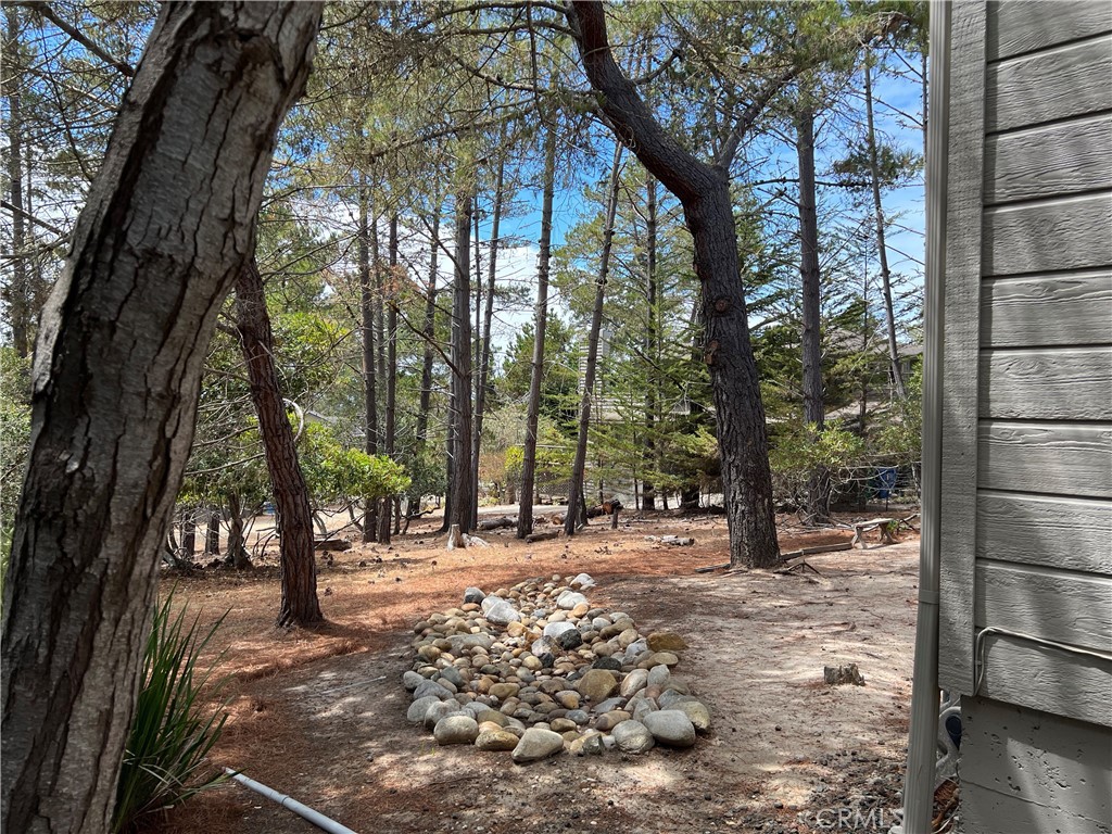 1965 Norwich Ave, Cambria, CA 93428