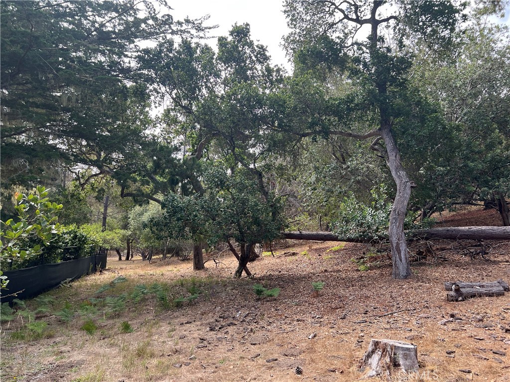 1280 Warren Rd, Cambria, CA 93428