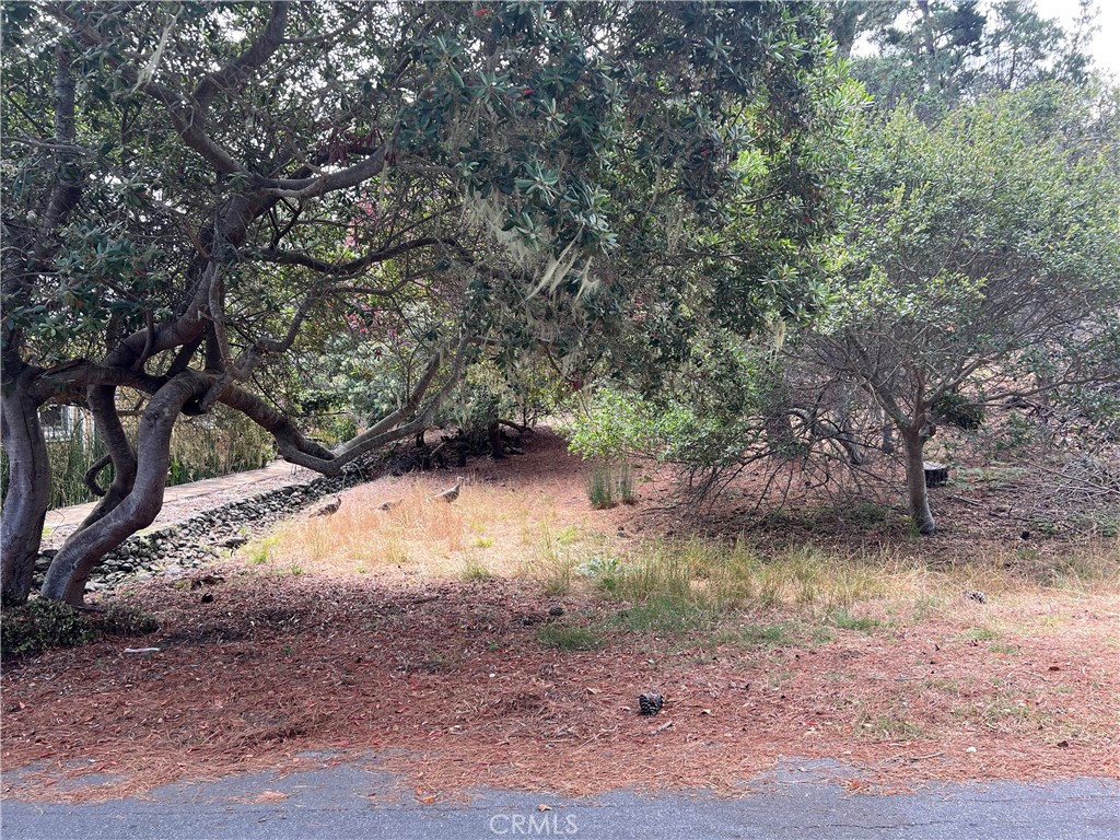 1280 Warren Rd, Cambria, CA 93428
