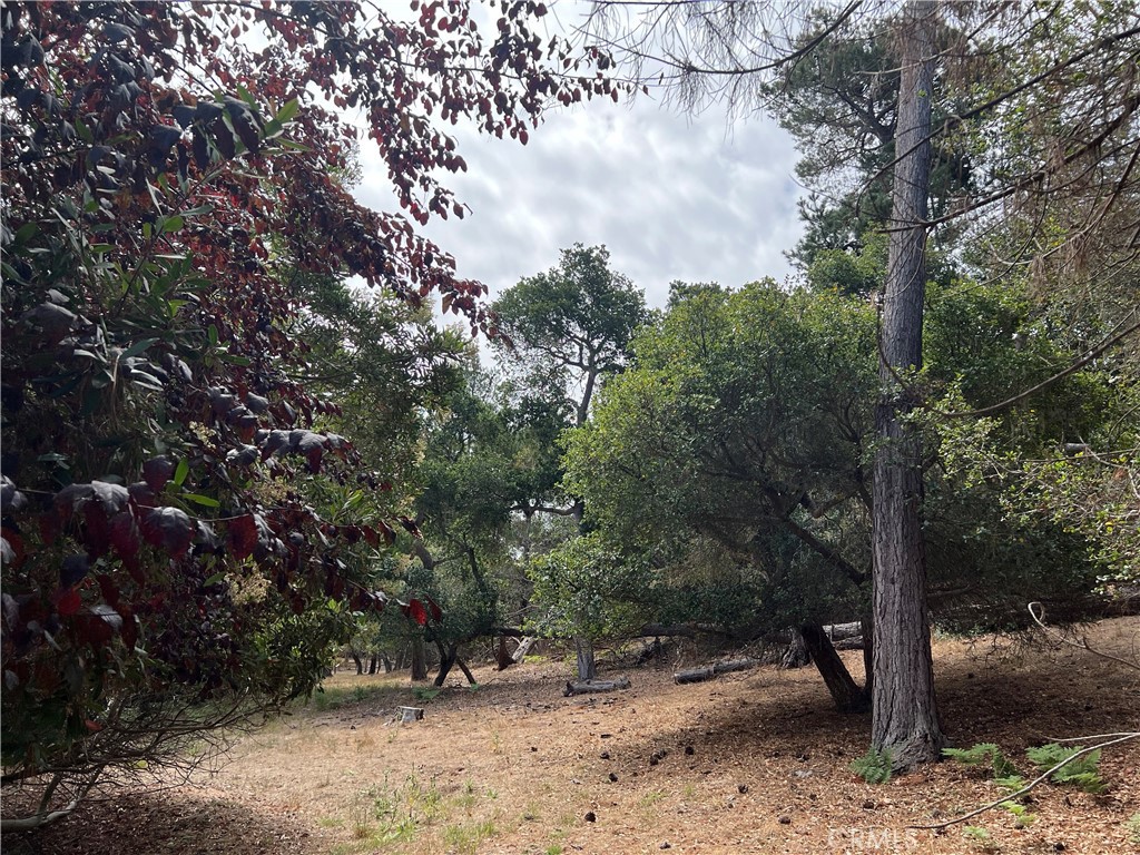 1280 Warren Rd, Cambria, CA 93428
