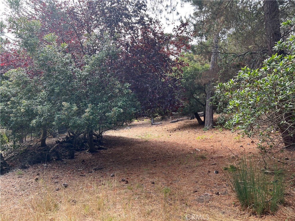 1280 Warren Rd, Cambria, CA 93428