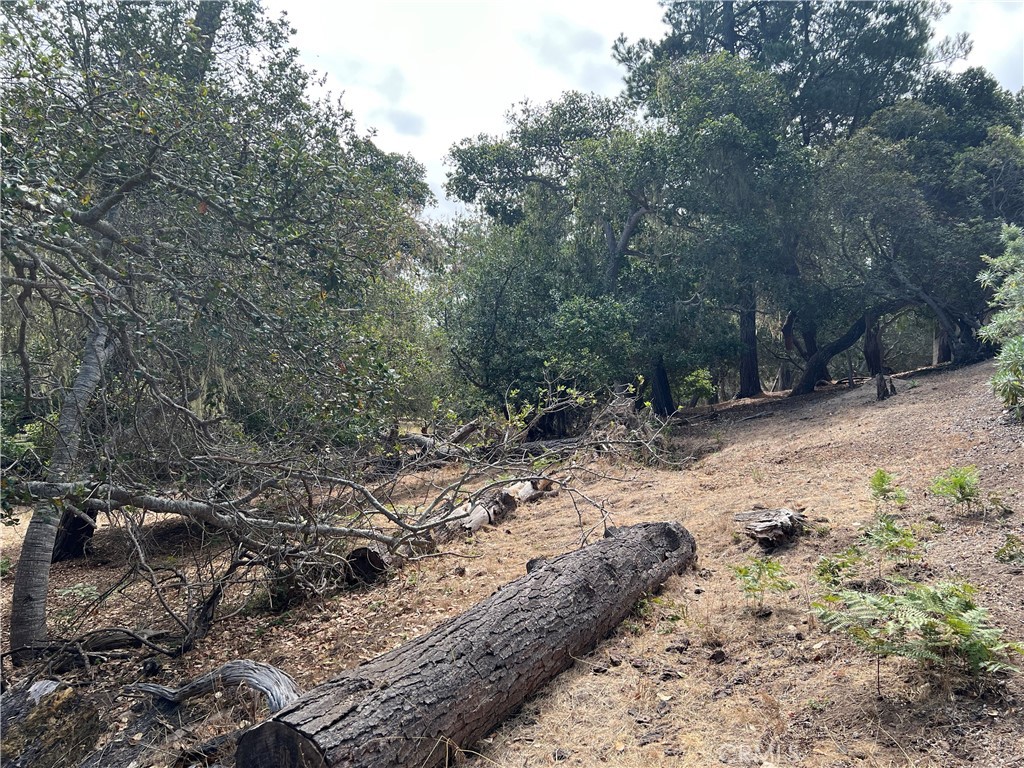 1280 Warren Rd, Cambria, CA 93428