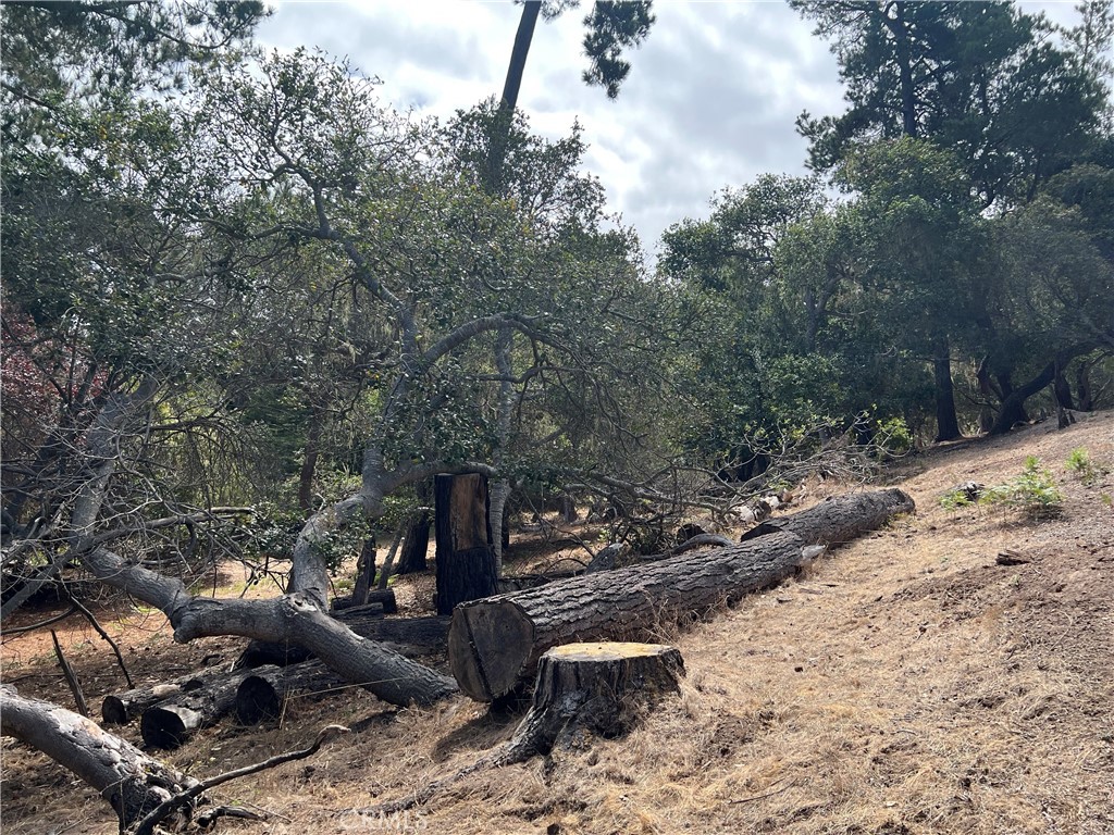 1280 Warren Rd, Cambria, CA 93428