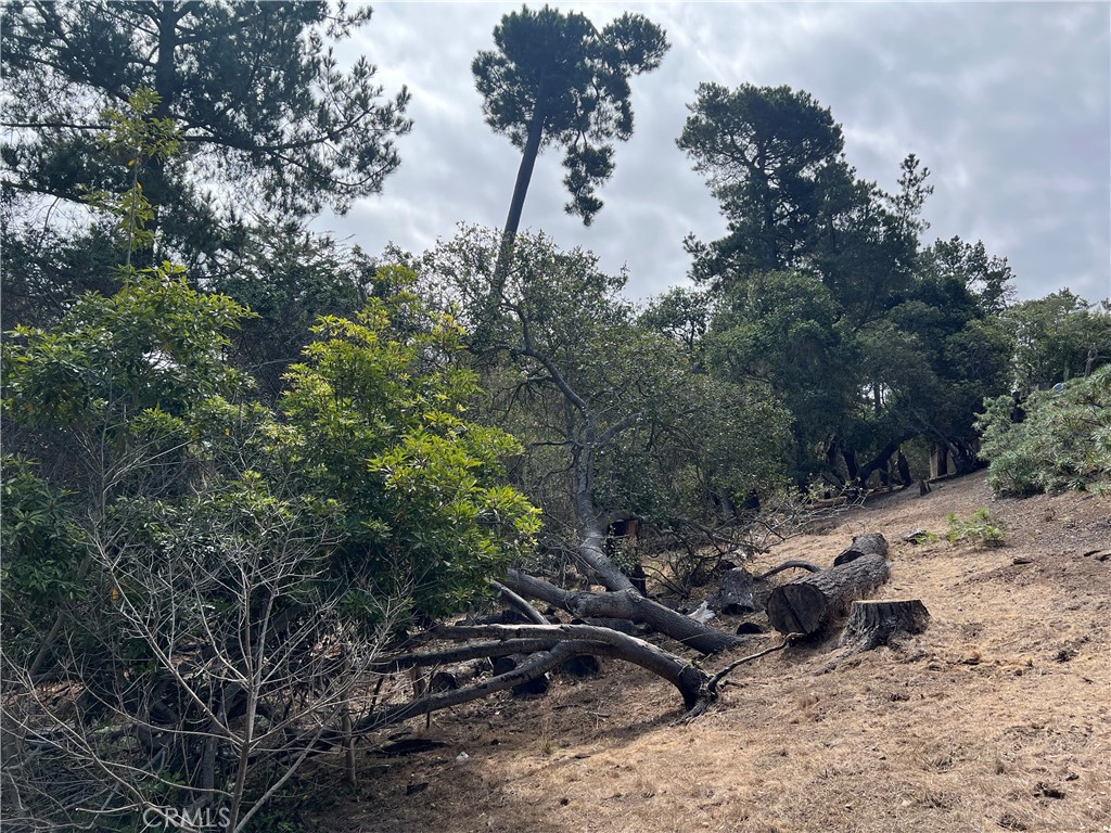 1280 Warren Rd, Cambria, CA 93428