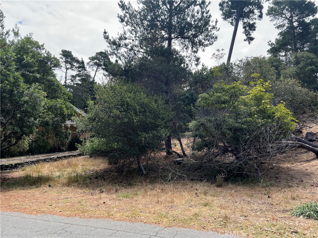 1280 Warren Rd, Cambria, CA 93428
