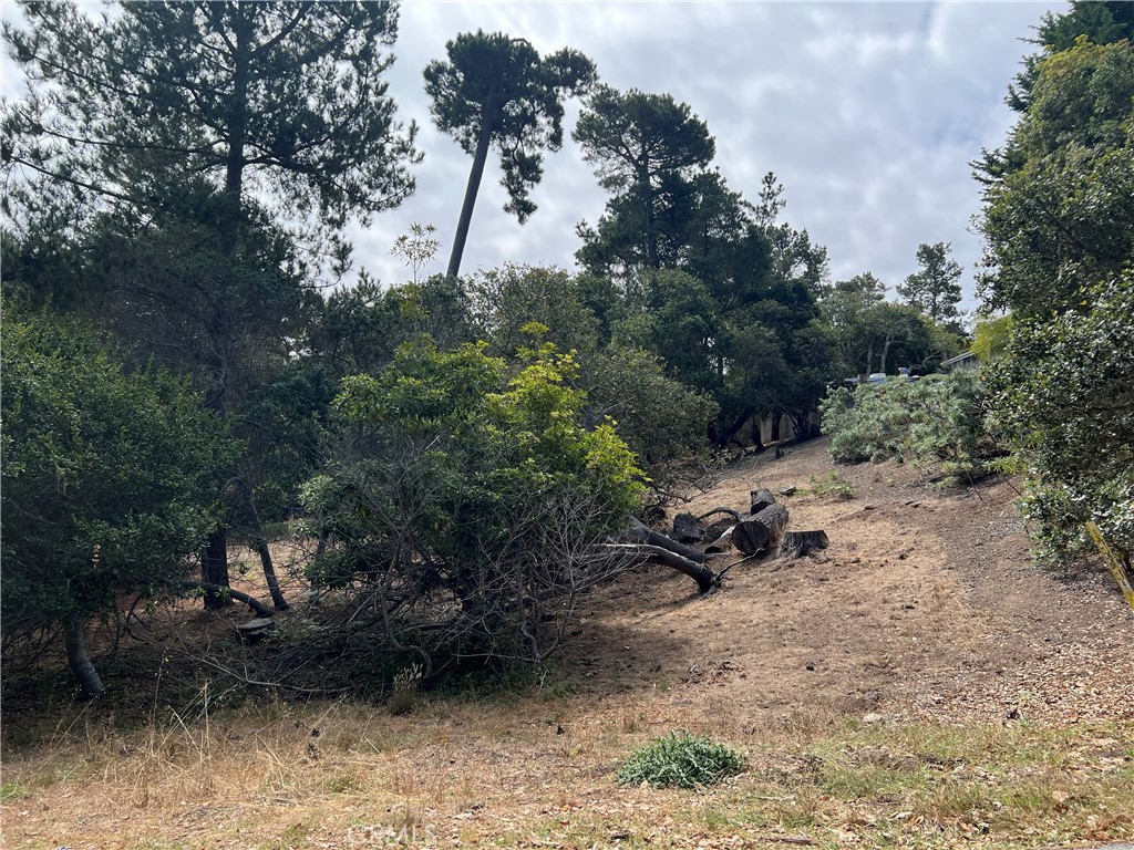 1280 Warren Rd, Cambria, CA 93428