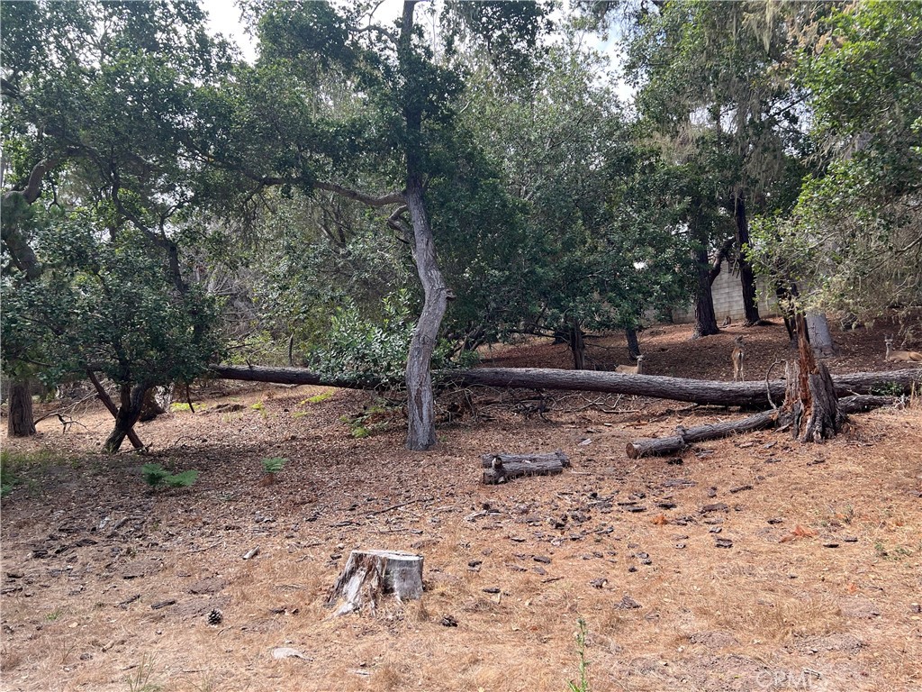 1280 Warren Rd, Cambria, CA 93428