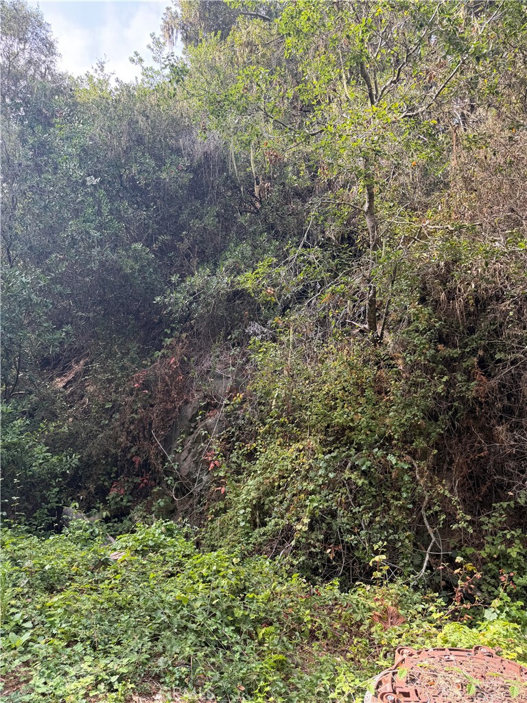 0 Sheffield Street, Cambria, CA 93428