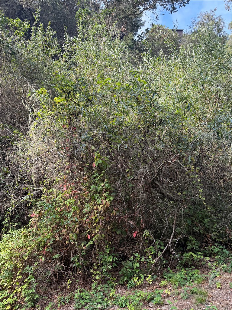 0 Sheffield Street, Cambria, CA 93428