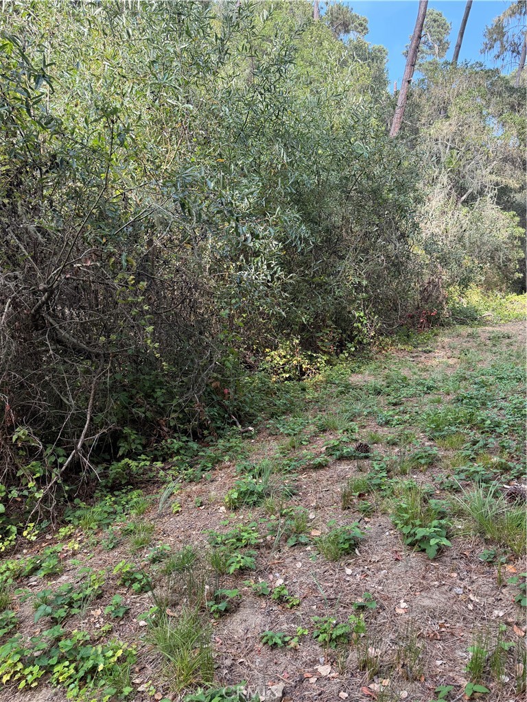 0 Sheffield Street, Cambria, CA 93428