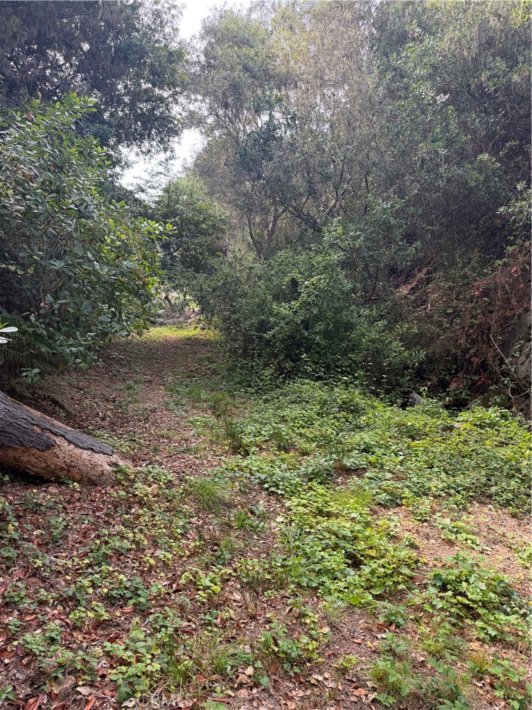 0 Sheffield Street, Cambria, CA 93428