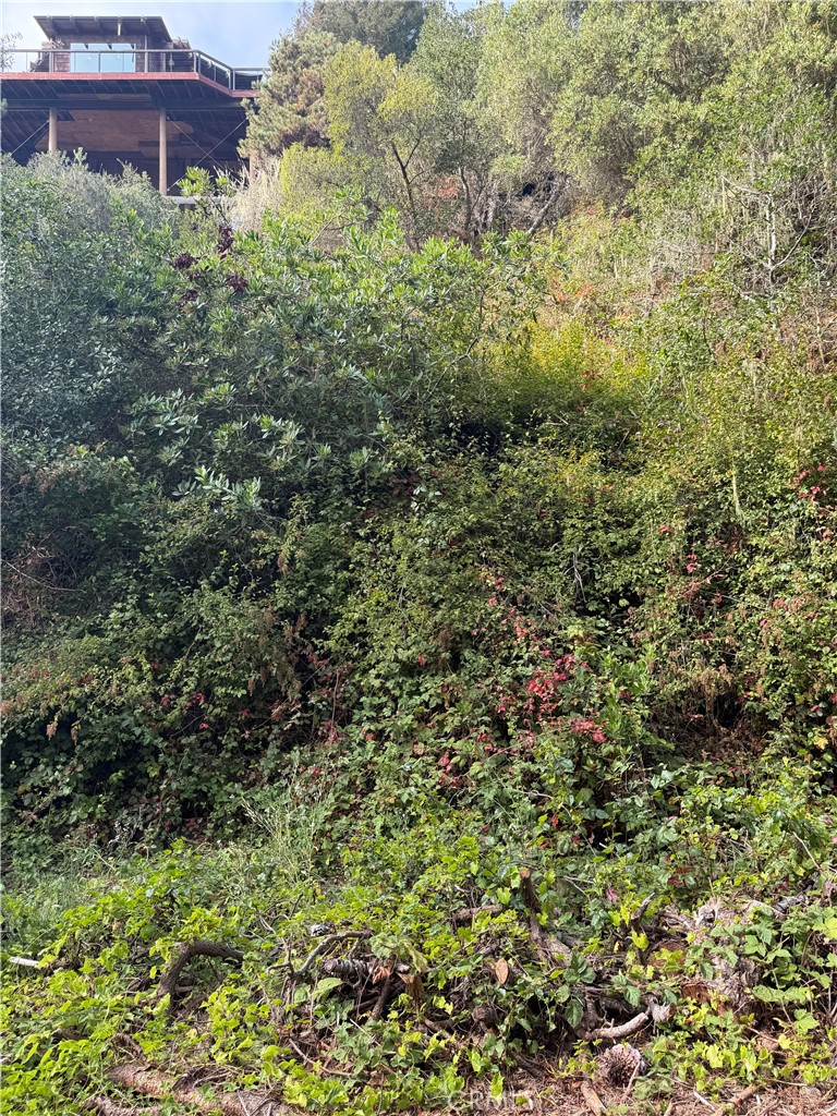 0 Sheffield, Cambria, CA 93428