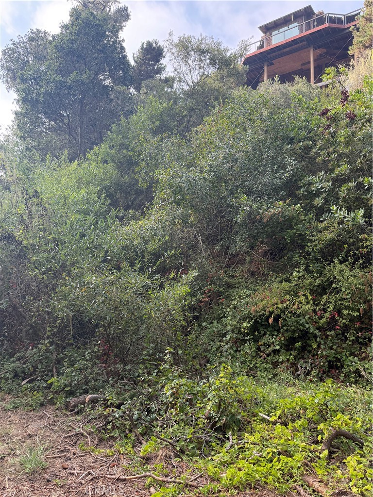 0 Sheffield, Cambria, CA 93428
