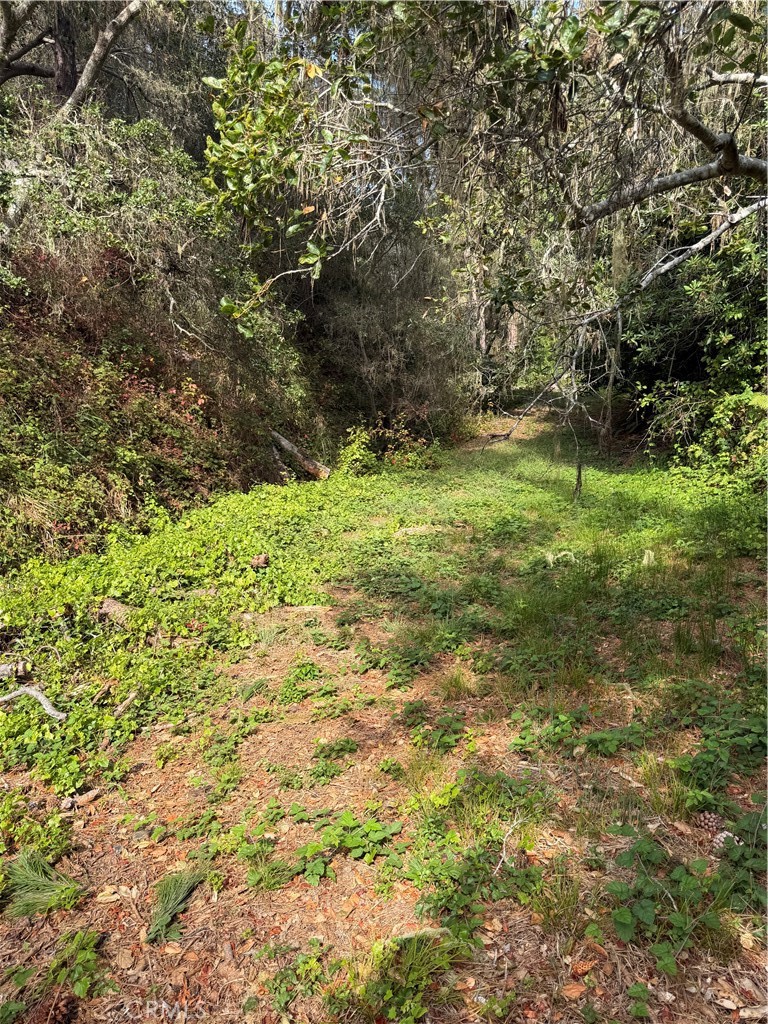 0 Sheffield, Cambria, CA 93428