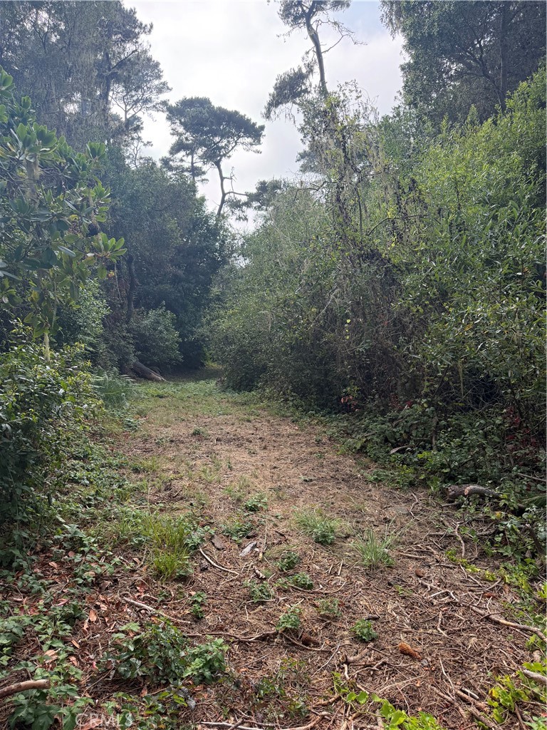 0 Sheffield, Cambria, CA 93428