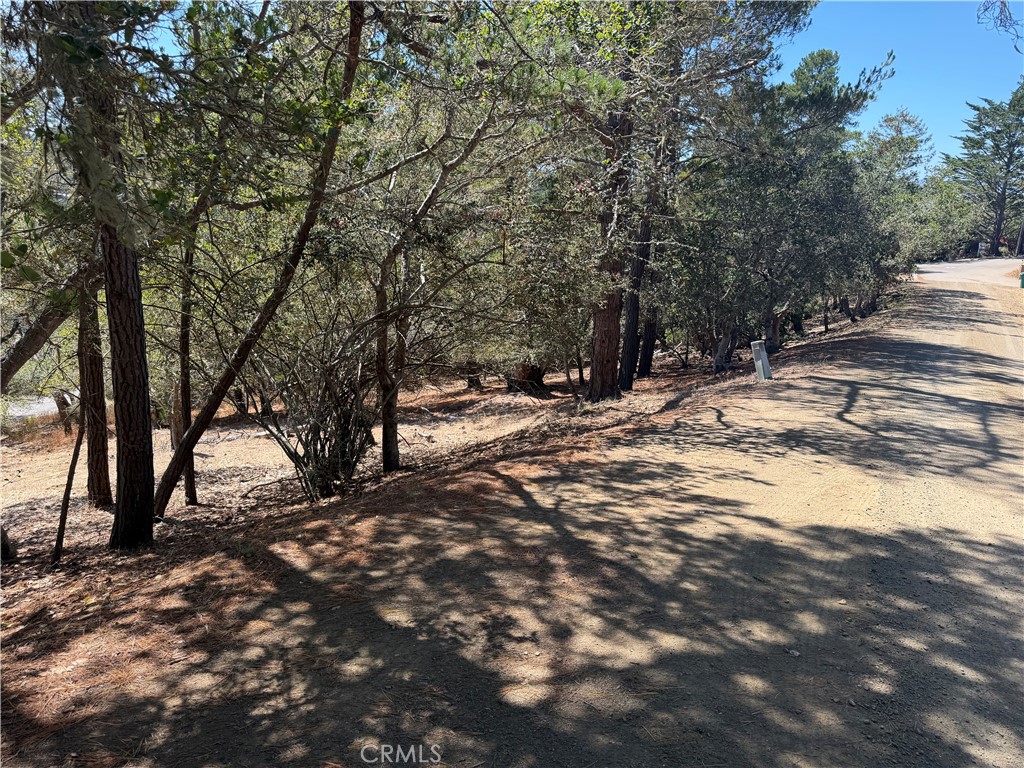 0 Pierce Ave, Cambria, CA 93428