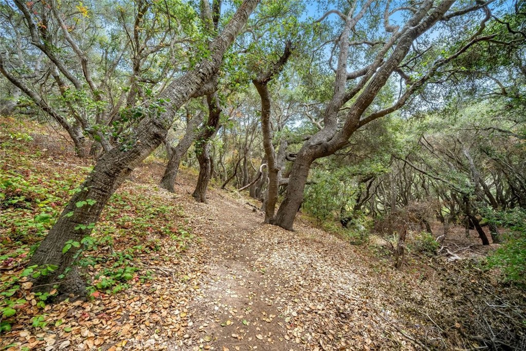 1550 Bayview Heights, Los Osos, CA 93402